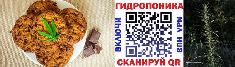 Canna-Cookies марихуана  omg tor  Калачинск  наркошоп 