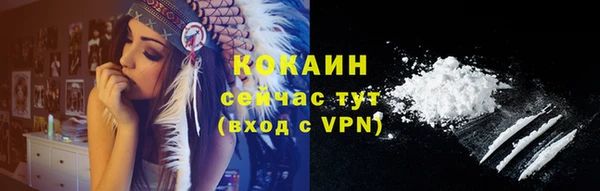 дживик Осинники
