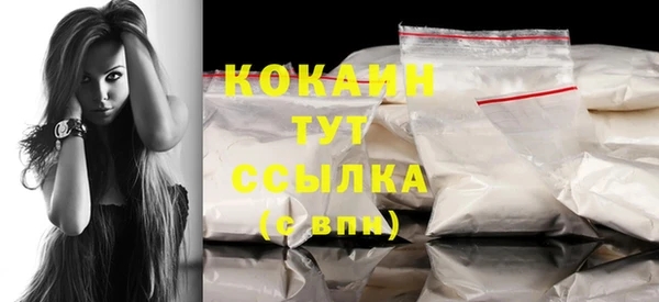 дживик Осинники
