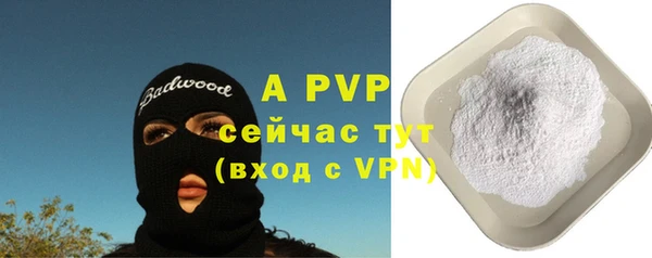 прущие грибы Ахтубинск