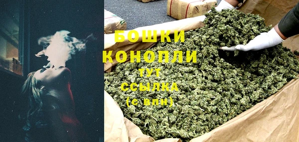 гидра Белая Холуница