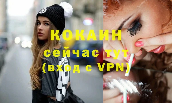 дживик Осинники