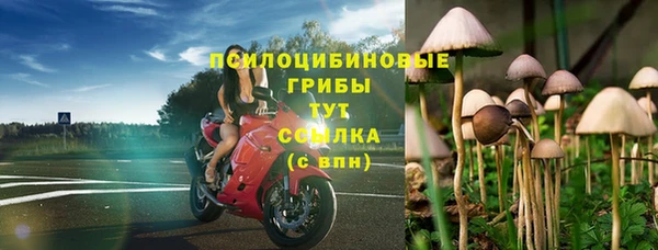 дживик Осинники