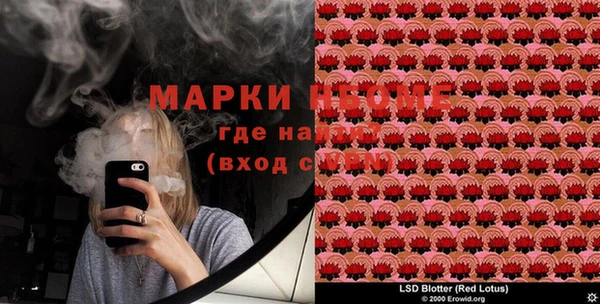 дживик Осинники