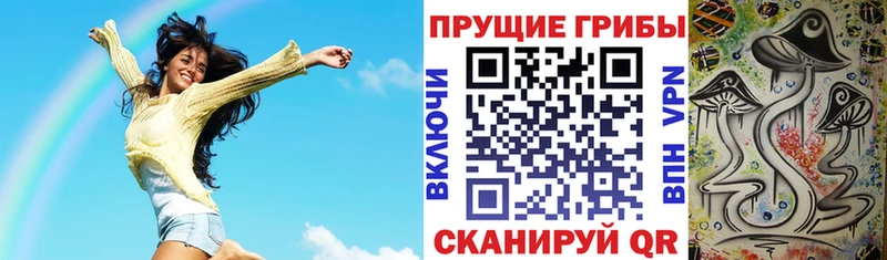 Галлюциногенные грибы Psilocybine cubensis  Калачинск 